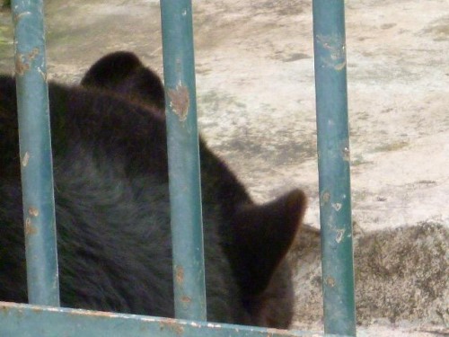 寝てます…よね