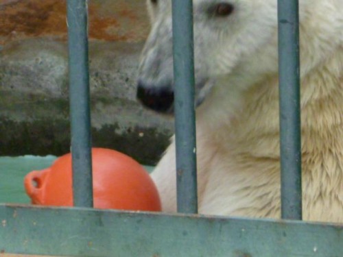 父と娘～ふたたび～