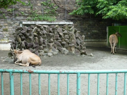 あなたに逢いたくて