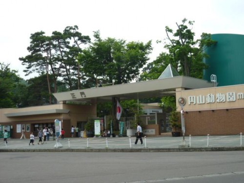 円山zoo