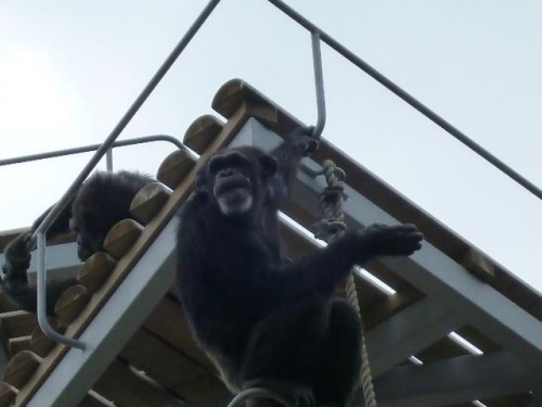 ついに撮ったわよ♪