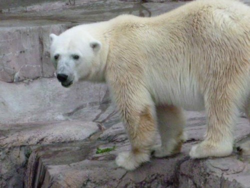 大丈夫かしら？