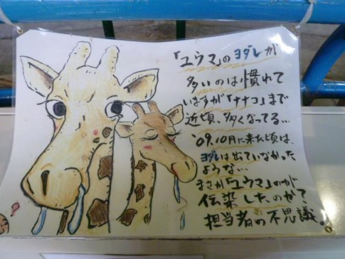 ナナコさんの謎