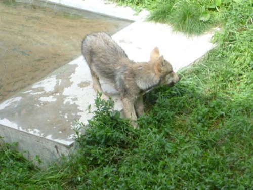 どこでも一緒♪