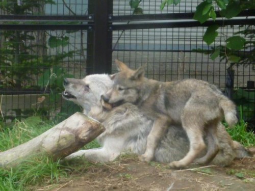 お母さんと一緒♪