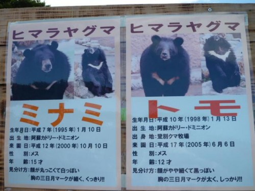 トモさん＆ミナミさん