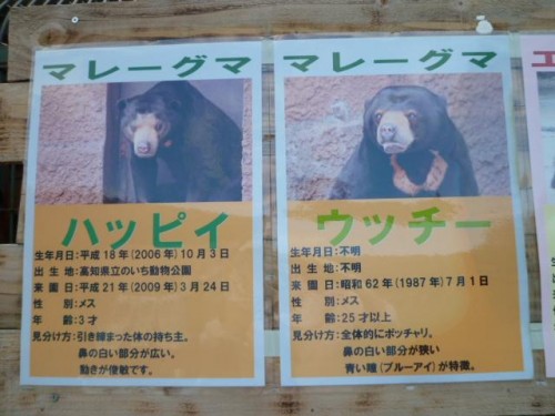 ハッピイ＆ウッチー