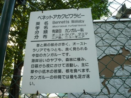 かわいいでしょ？