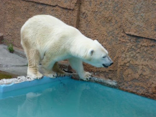 気になる！気になる！