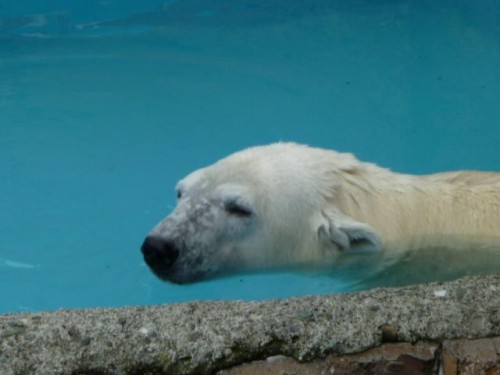 暑いわよ～～！