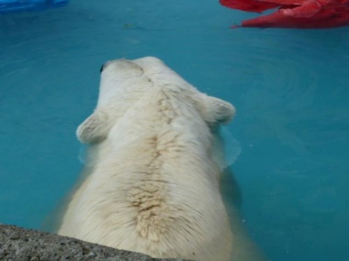 また遅くなってスイマセン…