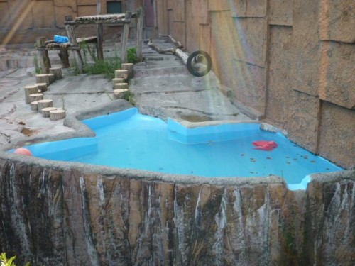 ピリさんのプール