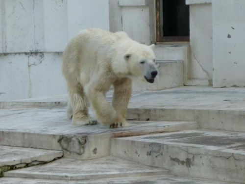 ダイエット成功