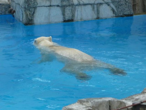 猛暑に負けないように