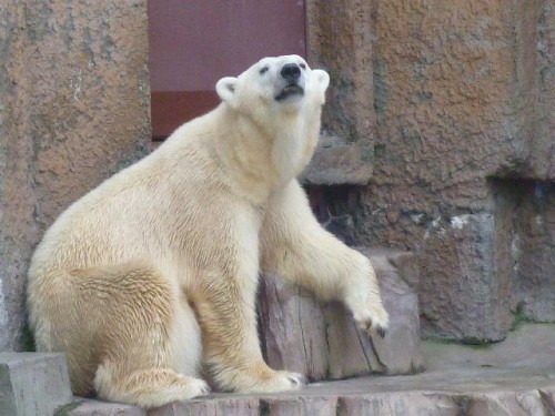 くつろぎのお姫様