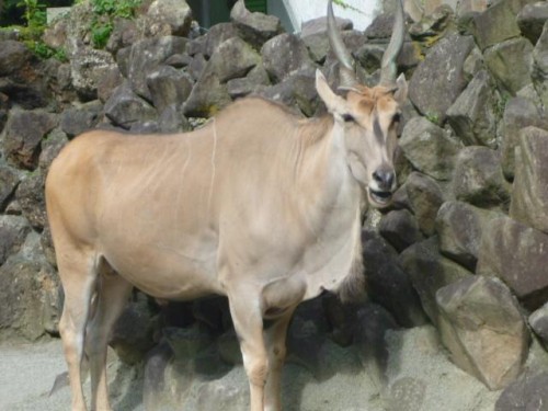 愛するダーリン♪…( その1)