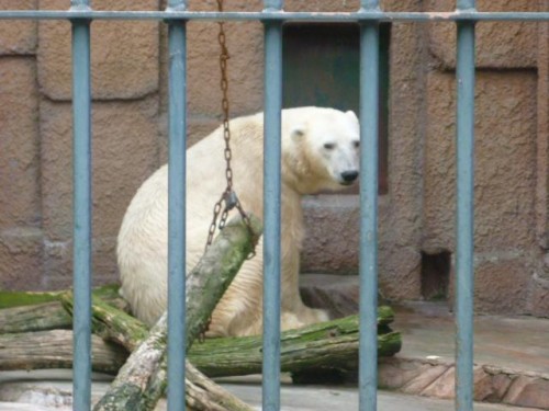 愛するダーリン♪…( その2)