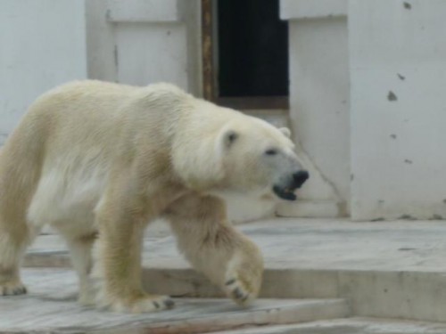 本当、お痩せになったわ～