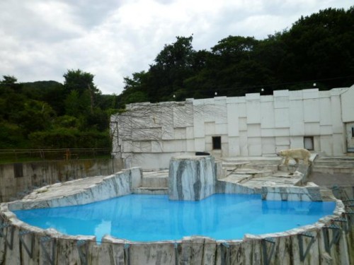 それぞれのプール