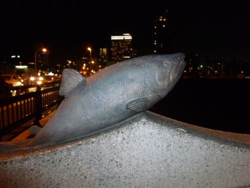 さけ、サケ、鮭