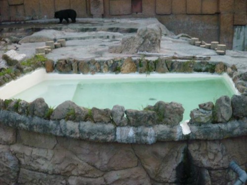 それぞれのプール