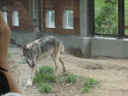 お久しぶりね！