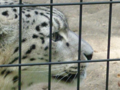 誰だかわからないけど…