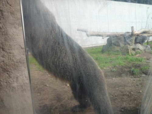 やっぱり、ムリ…