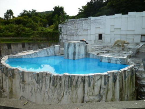 ついてないわ…