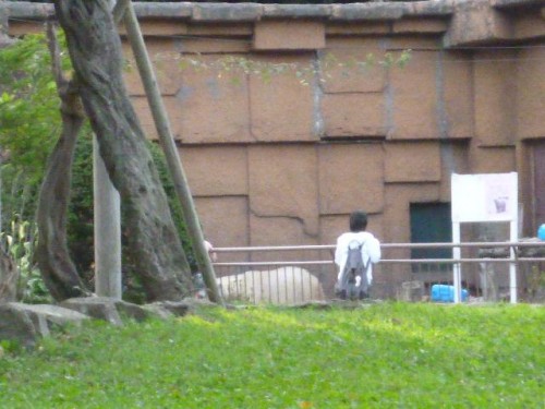 時間がなくて…