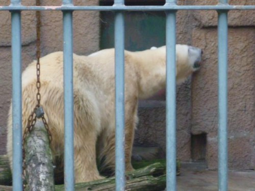 本日のイケメン！
