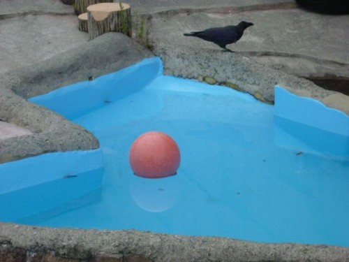 イコキロホリックさん！