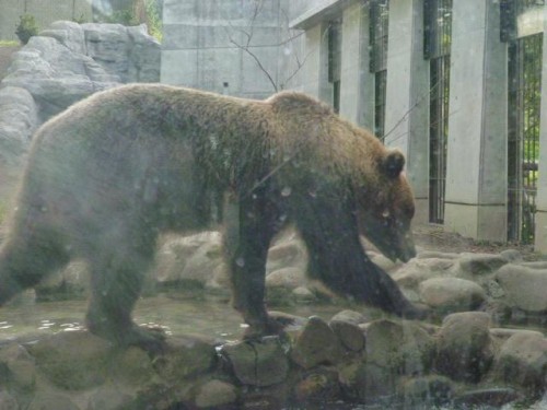 気になる、気になる！