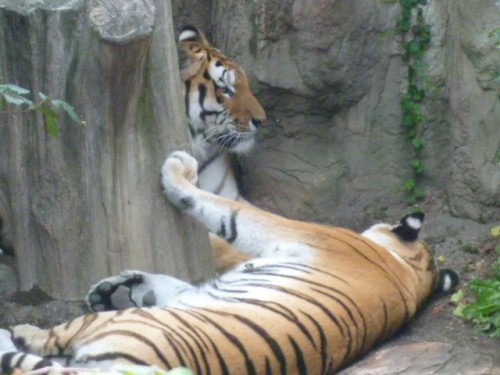 らぶ～な２人♪