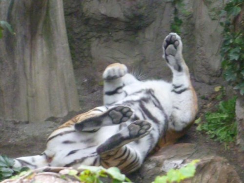 誰かはわからないけど…