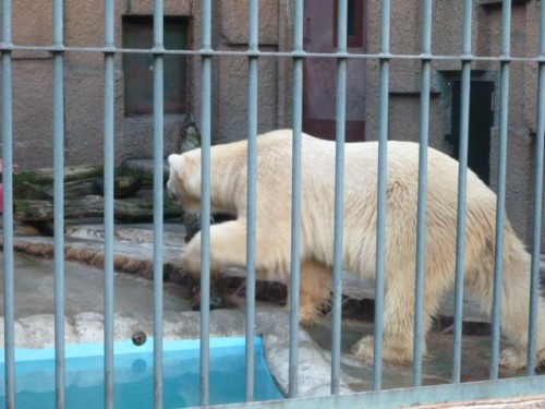 やはり…本日の最後も…