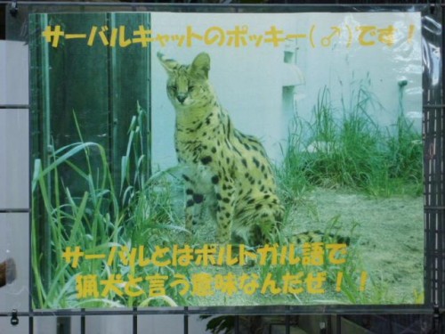 はじめての撮影