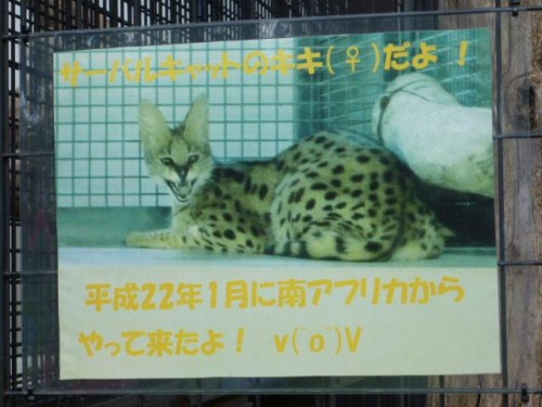 こちらも、はじめて…