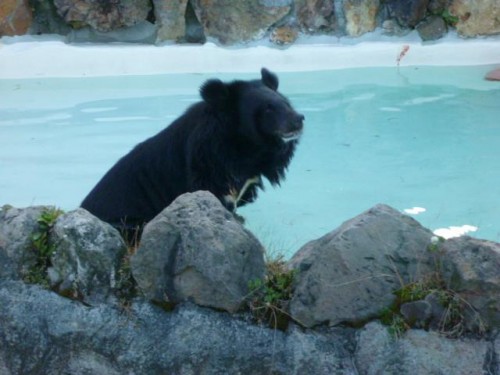 トモさんとミナミさん