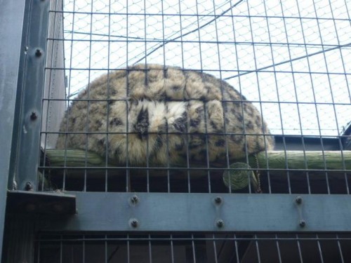 はみ出てますよ～