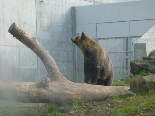 プリンセスとわ♪