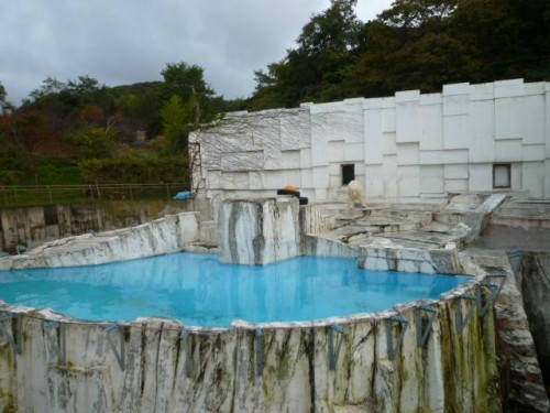 ペンギンの次は…