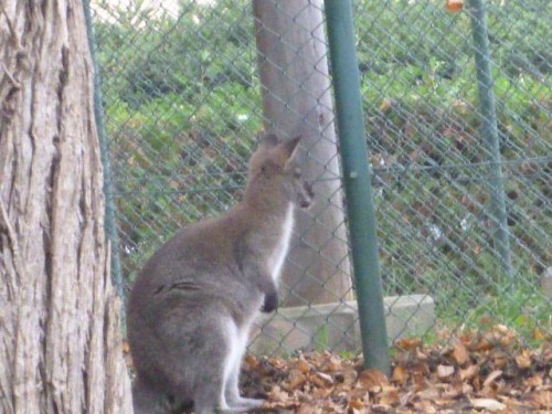 どこ見てるんですか？