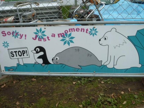 わかったのよ！