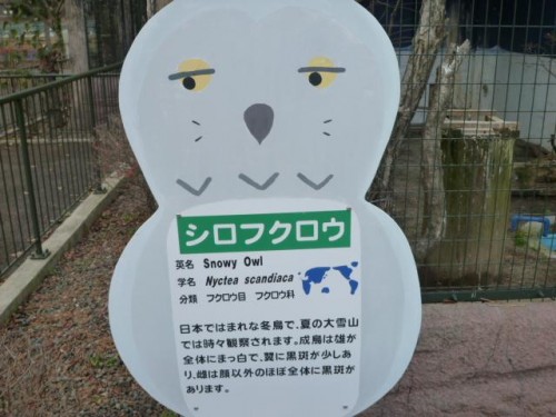 ちょっとテスト