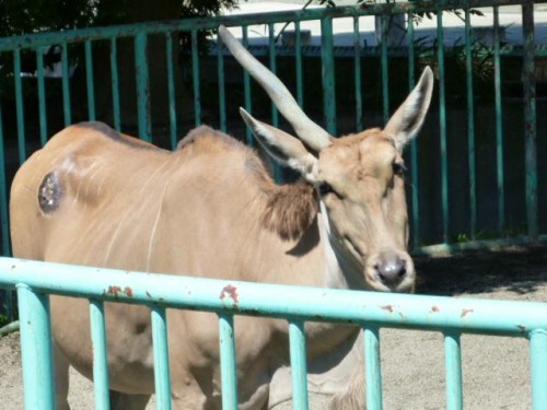 おめでとうございます!