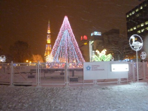 ホワイトイルミネーション１
