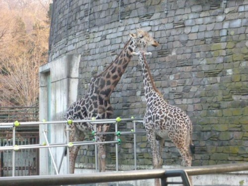 ツーショット♪