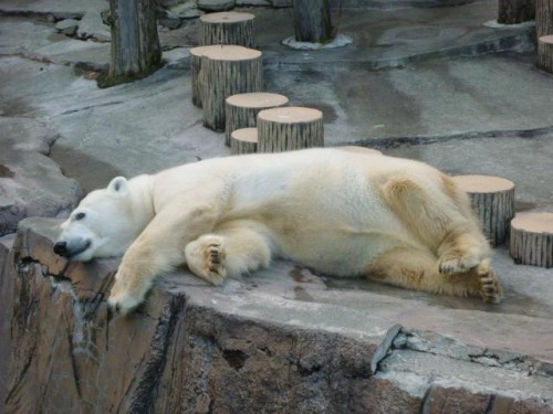 円山妄想劇場(姉のグチ編)