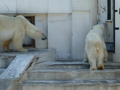 円山妄想劇場(旅立ち編)